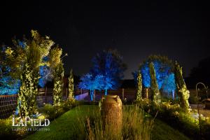 LaField-Landscape-Lighting night-stars