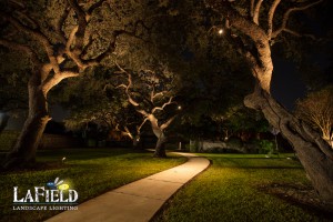 LaField-Landscape-Lighting Uplighting-pathway lighting