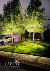 Lafield-Landscaping tree-downlighting-02