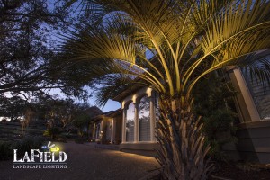 LaField-Landscape-Lighting Uplighting
