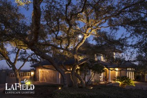 LaField-Landscape-Lighting Uplighting