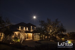 LaField-Landscape-Lighting Uplighting