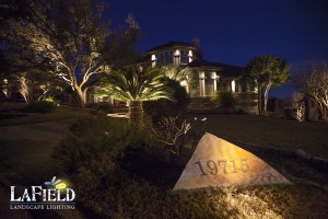 LaField-Landscape-Lighting Uplighting