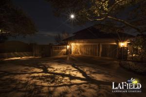 LaField-Landscape-Lighting Moonlighting