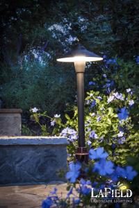 Pathway security step lighting