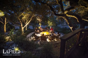 LaField-Landscape-Lighting Uplighting              